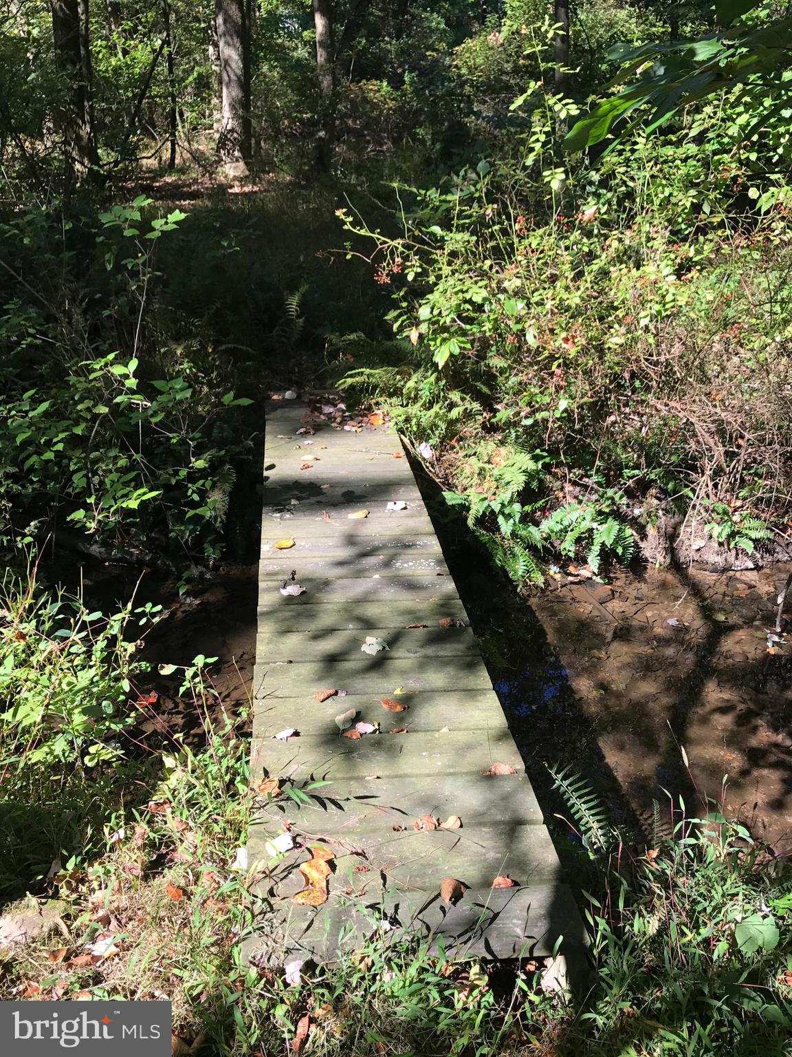 731 Vinemont Road Reinholds, PA 17569 - Photo 53 of 60 boardwalk