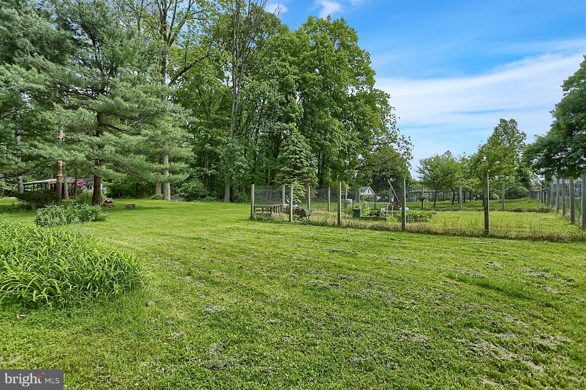 731 Vinemont Road Reinholds, PA 17569 - Photo 8 of 60 Backyard second garden area (very flat and level)