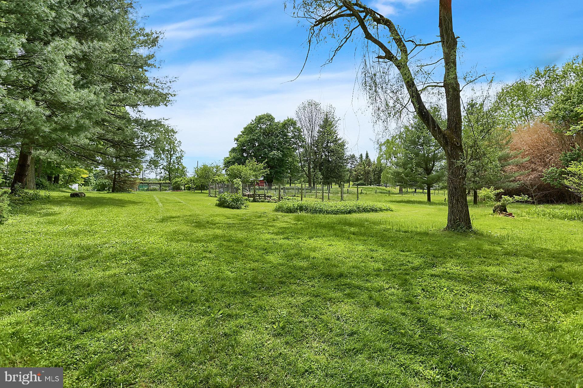 731 Vinemont Road Reinholds, PA 17569 - Photo 9 of 60 Back yard looking at fruit trees and gardens