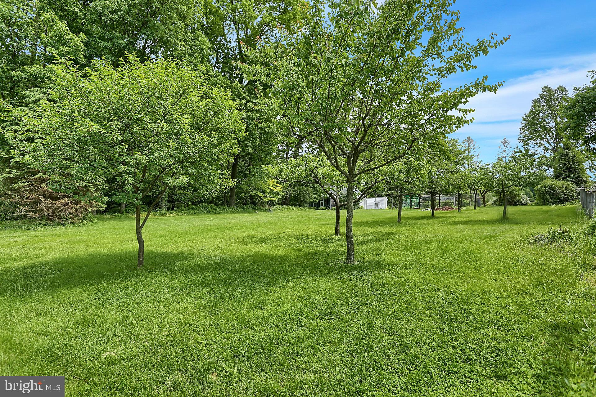 731 Vinemont Road Reinholds, PA 17569 - Photo 10 of 60 Established fruit trees and side/back yard