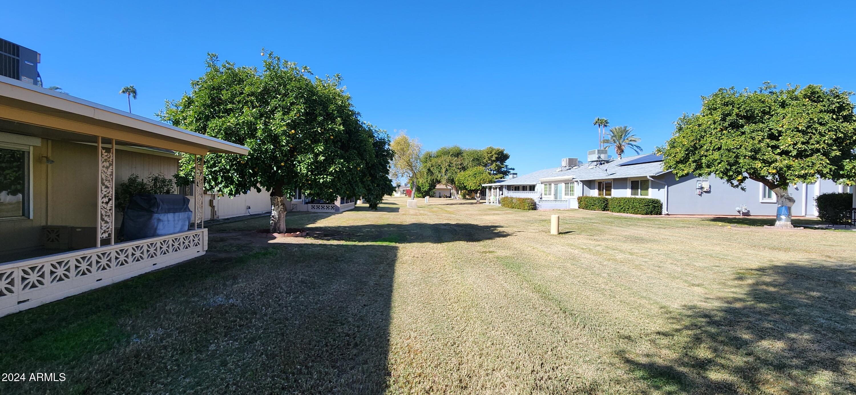 10338 West Kingswood Circle Sun City, AZ 85351 - Photo 22 of 24 a view of a house with backyard and a tree