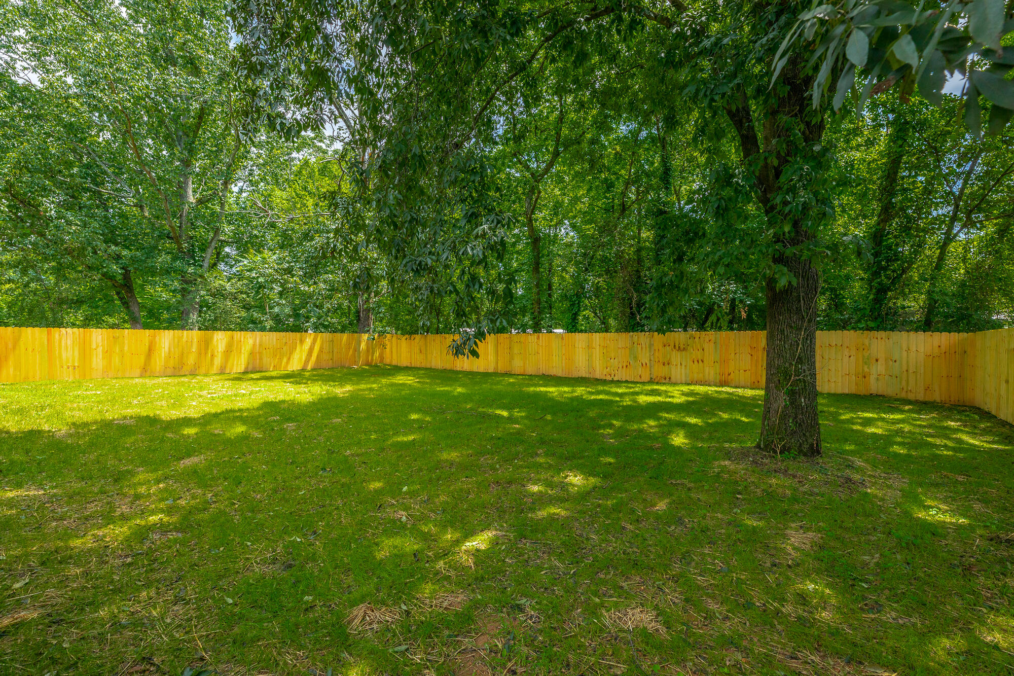 8340 Springfield Road HD-38