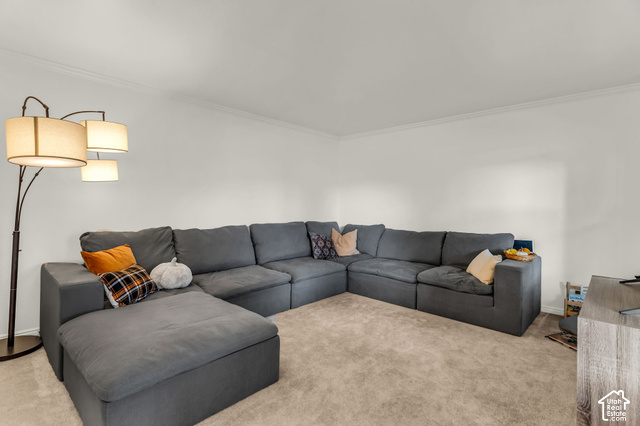 1073 Pineridge Road Sandy, UT 84094 - Photo 12 of 31 Plush carpet flooring, neutral wall tones, and crown molding
