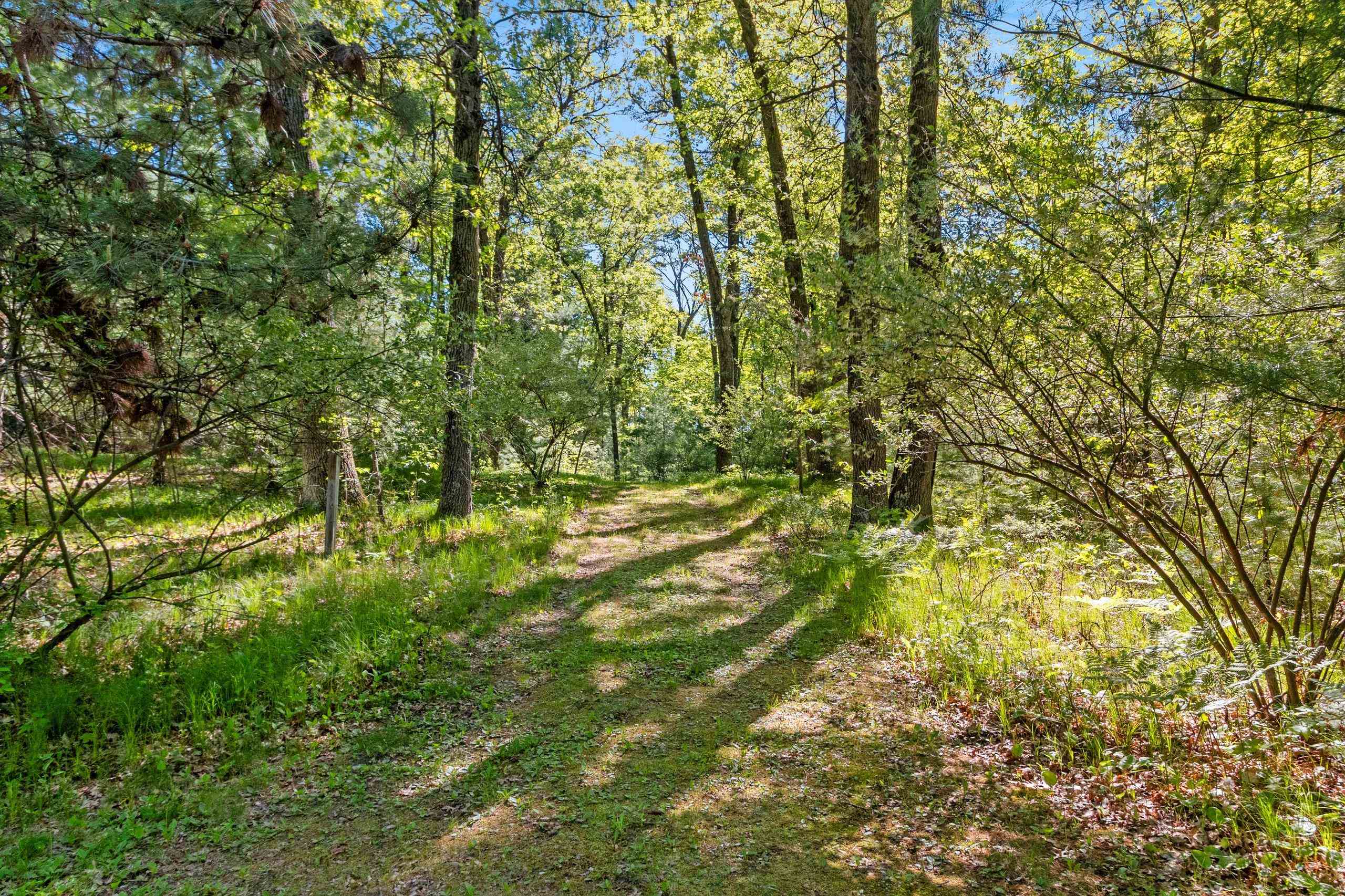 N6814 Springbrook Road Cecil, WI 54111 - Photo 11 of 40