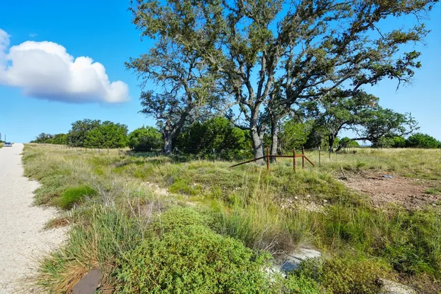 a view of yard with green space