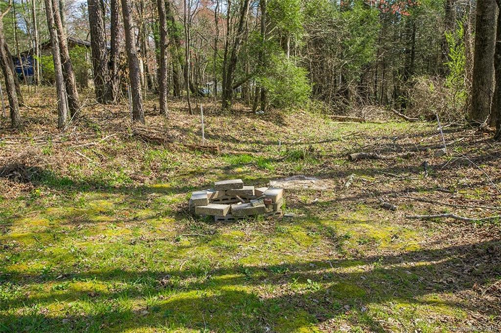 592 Gilreath Loop Road Mills River, NC 28759 - Photo 26 of 27 Gallery Image 26