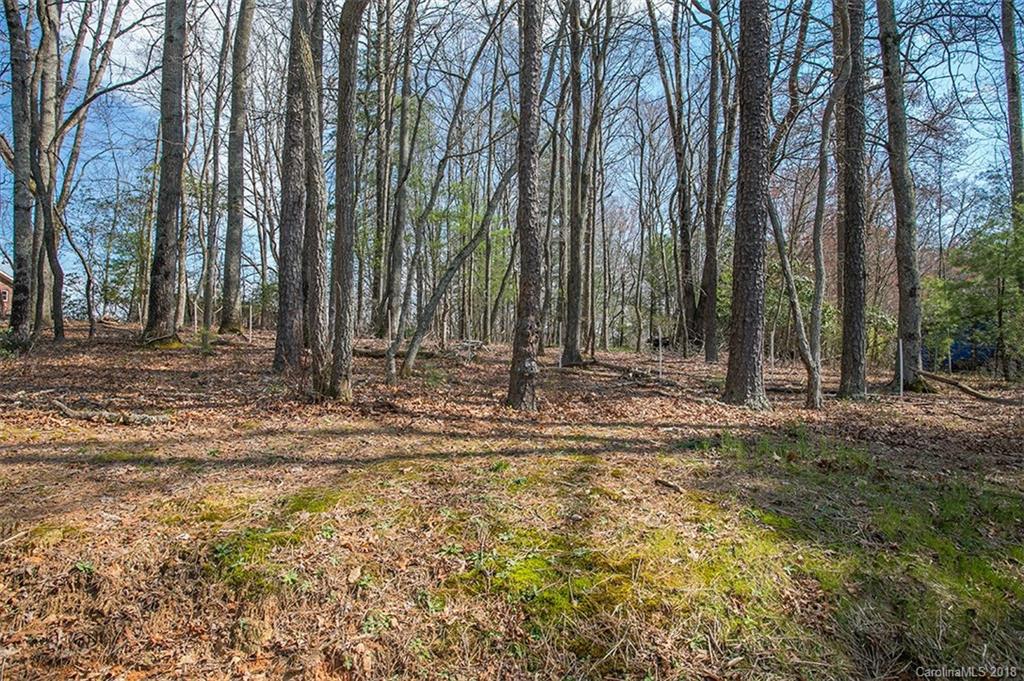 592 Gilreath Loop Road Mills River, NC 28759 - Photo 27 of 27 Gallery Image 27