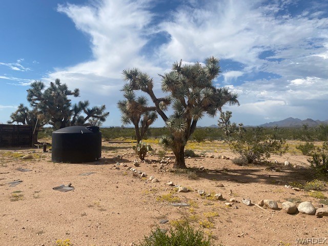 21423 South Rawhide Road Yucca, AZ 86438 - Photo 3 of 13 Gallery Image 3