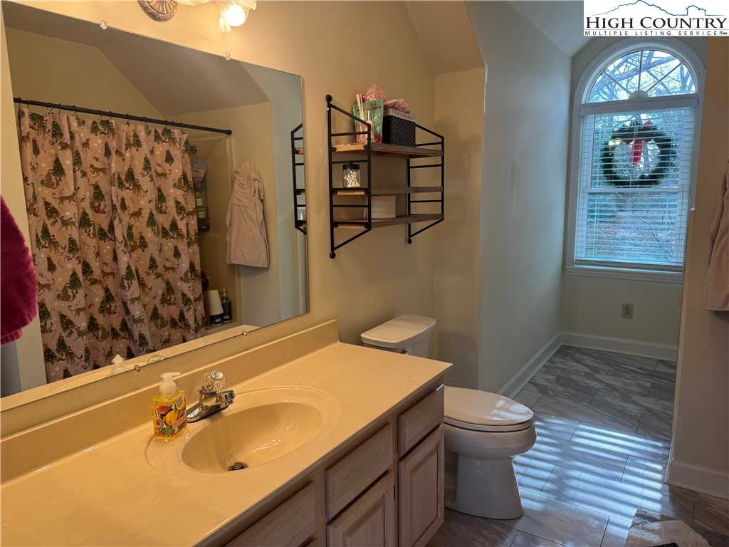 387 Tarry Acres Circle Blowing Rock, NC 28605 - Photo 28 of 41 a bathroom with a sink a toilet and shower