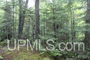 469 North Carlshend Road Skandia, MI 49885 - Photo 10 of 18