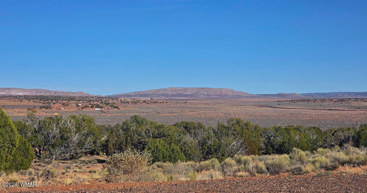 Lot 632 Lazy S Ranch Road Concho, AZ 85924 - Photo 23 of 27