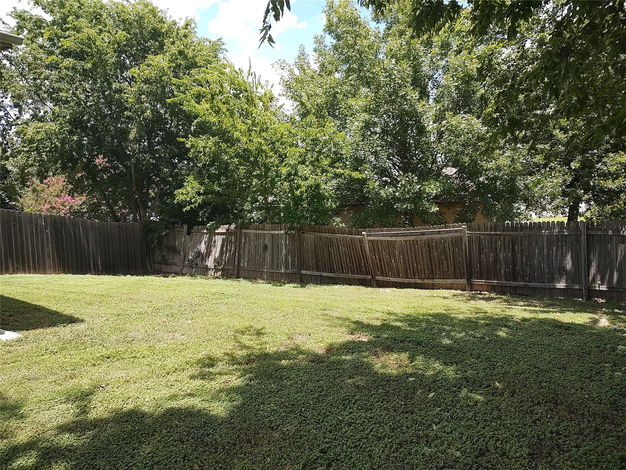 2206 South Bagdad Road, Unit B Leander, TX 78641 - Photo 12 of 13 A fully fenced backyard offers private outdoor enjoyment amidst mature shade trees.
