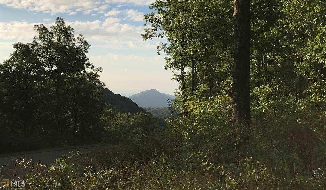 0 Andes Ridge, Unit 240R Talking Rock, GA 30175 - Photo 1 of 1