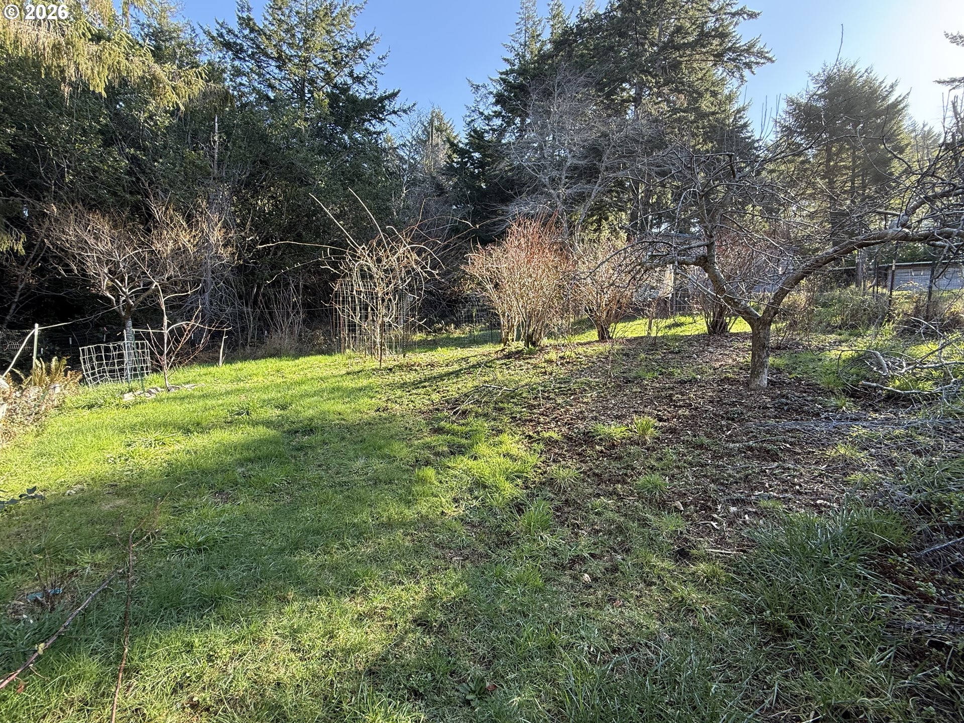 42528 Hensley Hill Road Port Orford, OR 97465 - Photo 33 of 37 a big yard with lots of green space and trees