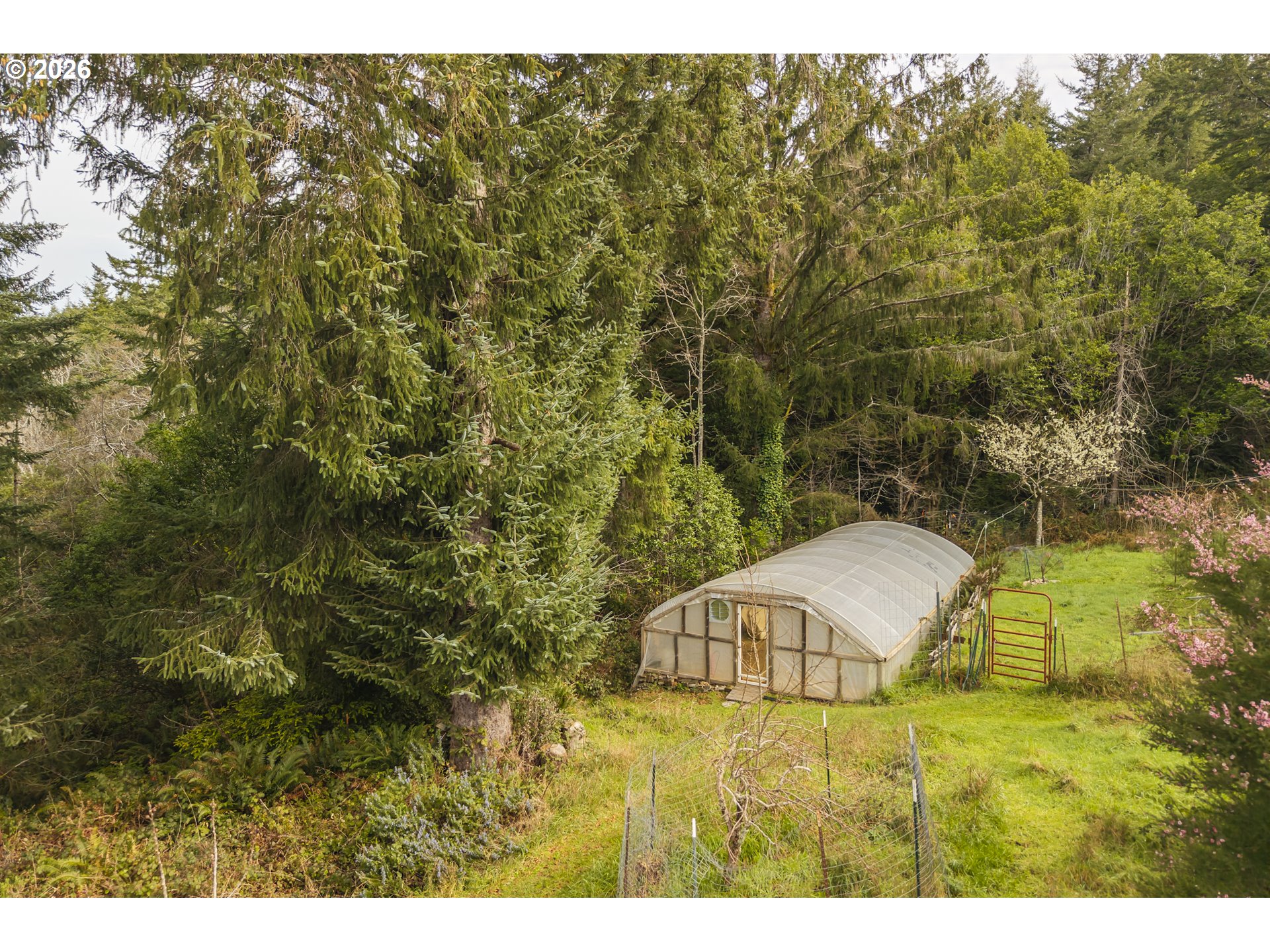 42528 Hensley Hill Road Port Orford, OR 97465 - Photo 34 of 37 a view of a yard