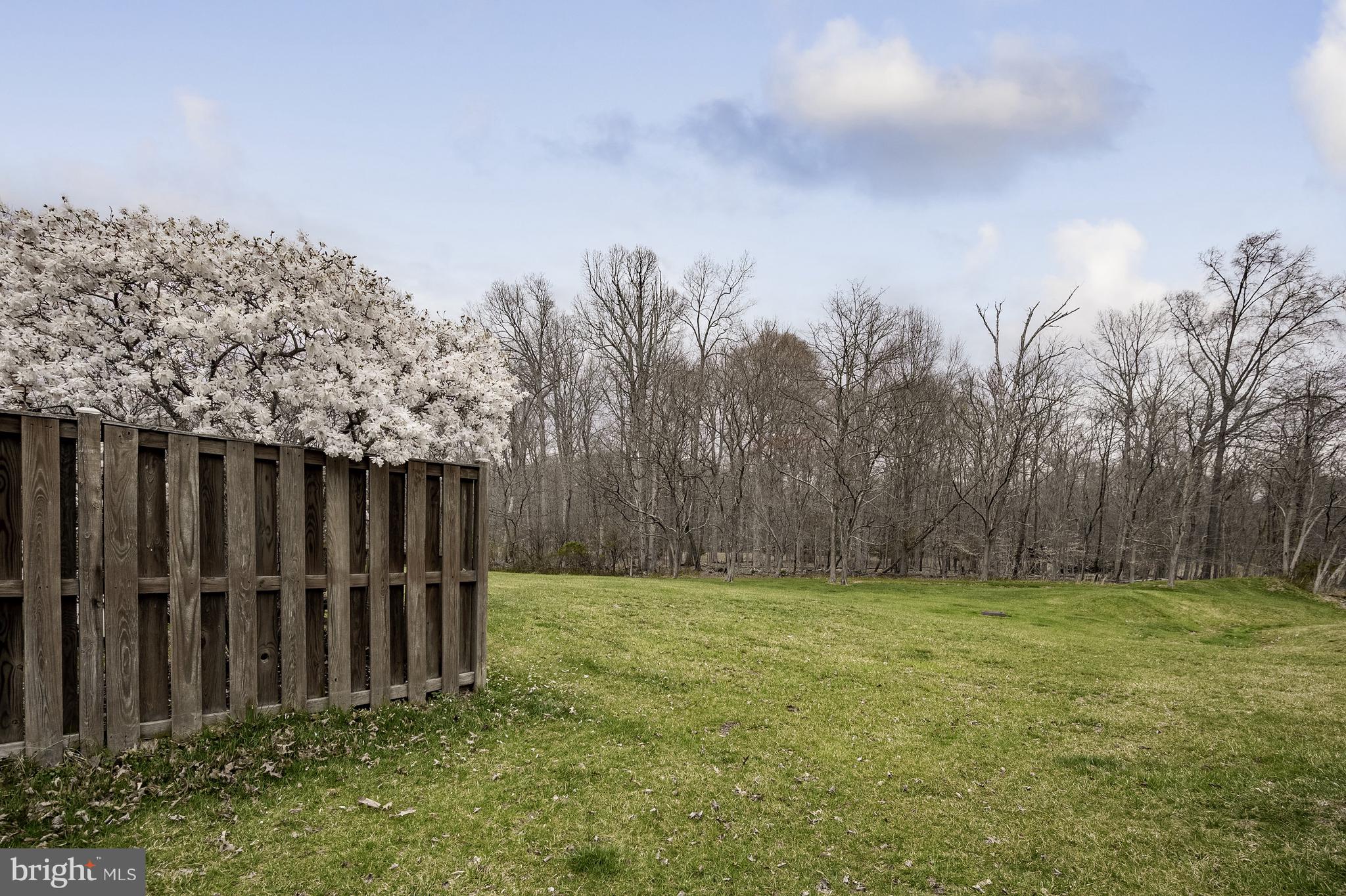 20334 Burnley Square Sterling, VA 20165 - Photo 49 of 57 a view of backyard with tree