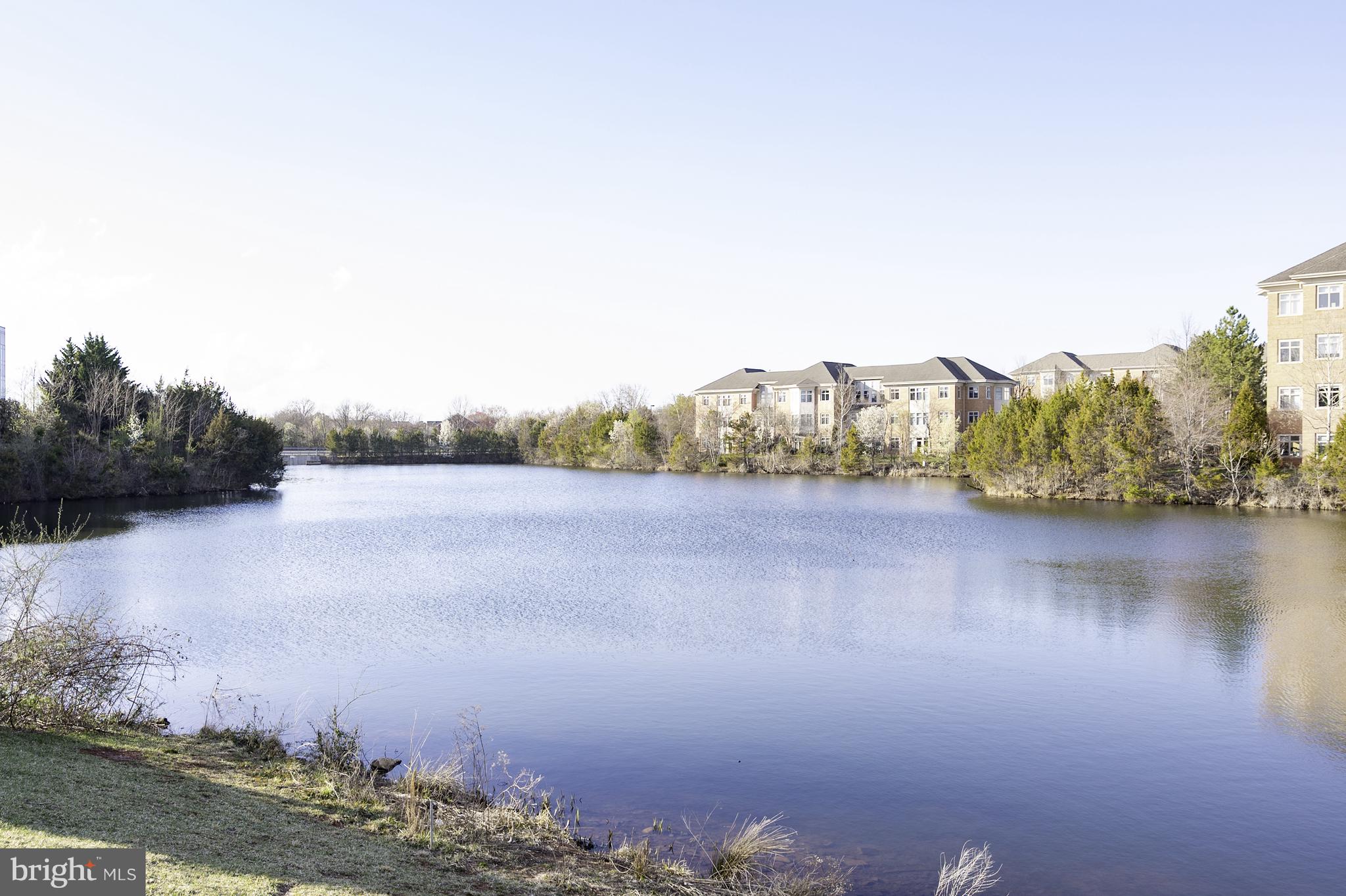 20334 Burnley Square Sterling, VA 20165 - Photo 54 of 57 a view of lake and mountain