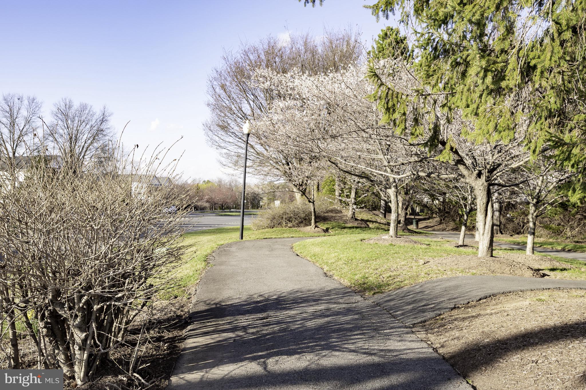 20334 Burnley Square Sterling, VA 20165 - Photo 56 of 57 a view of yard with tree
