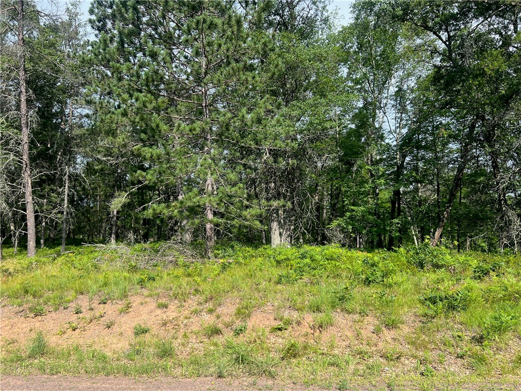 Lot 56 Spotted Fawn Road Danbury, WI 54830 - Photo 2 of 15