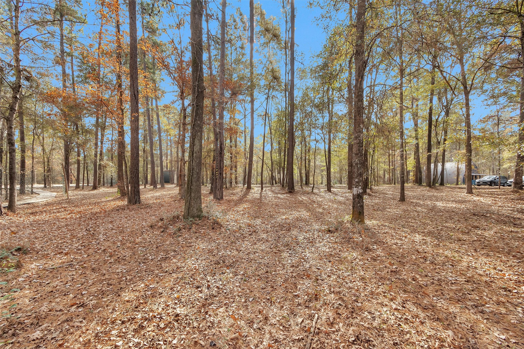 215 Fm 2929 Road Huntsville, TX 77340 - Photo 37 of 50 a backyard of apartments with large trees