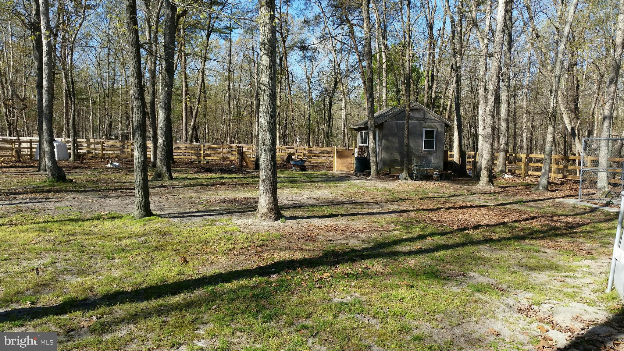 25933 Fox Grape Road Greensboro, MD 21639 - Photo 5 of 13 Exterior (Rear)