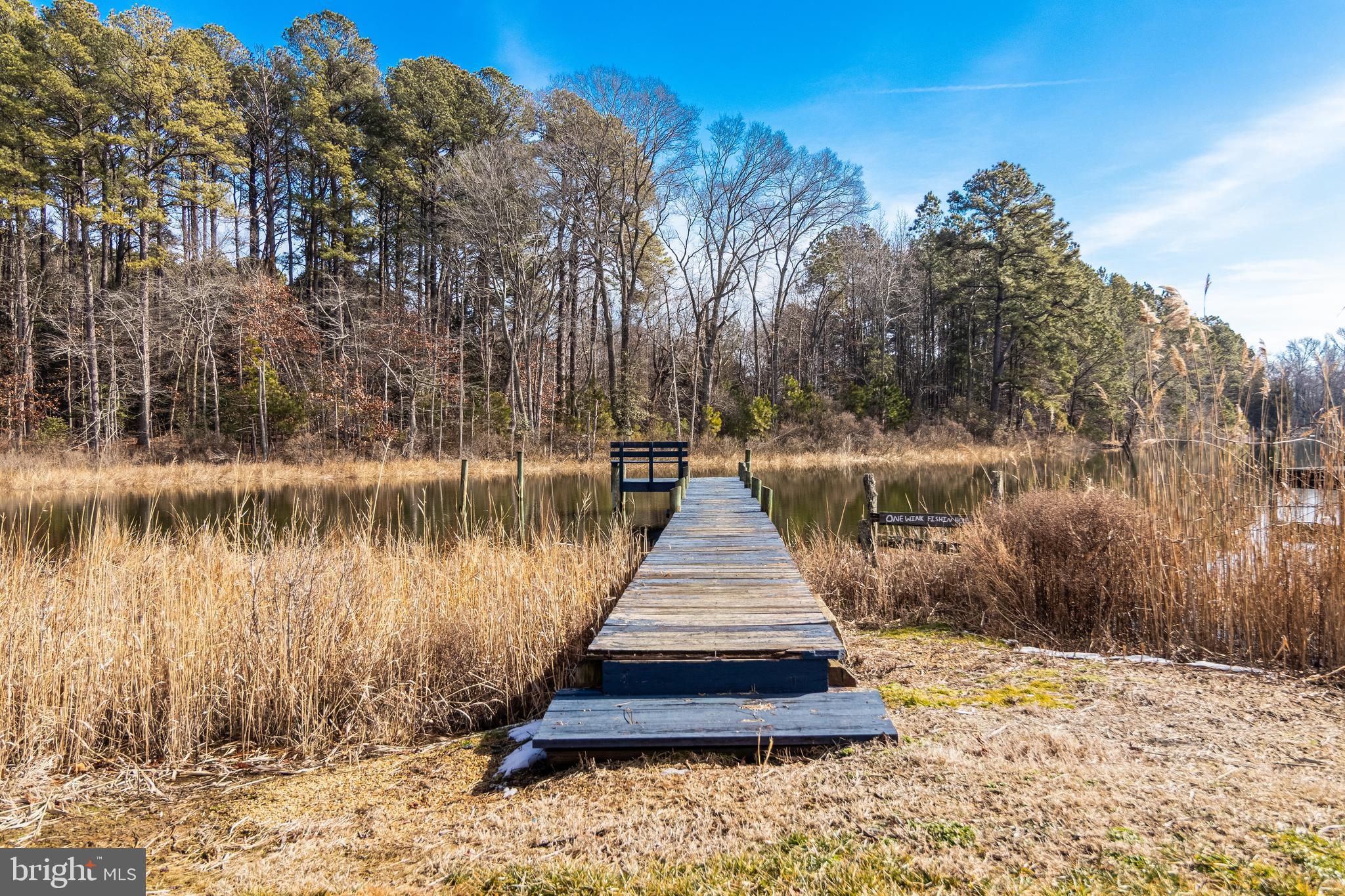20960 Olen Mattingly Road Avenue, MD 20609 - Photo 32 of 33