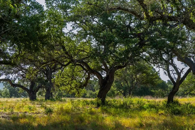 $2,500,000 | Lot 101 Tuscany Drive, Driftwood, TX 78619