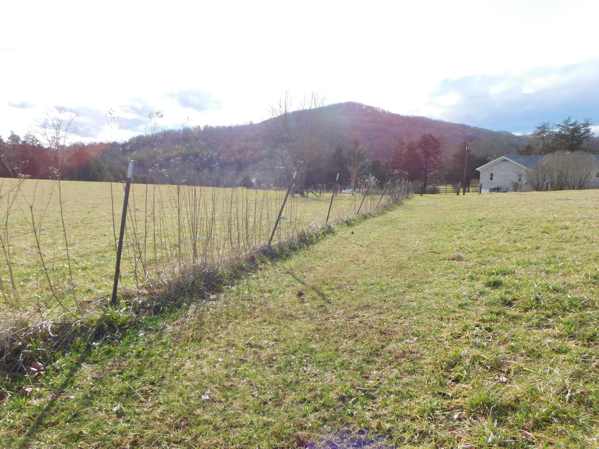 280 Gene Gray Road Monticello, KY 42633 - Photo 56 of 71 DSCI0407
