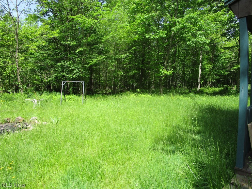 Vl Doyle Road Jefferson, OH 44047 - Photo 20 of 42