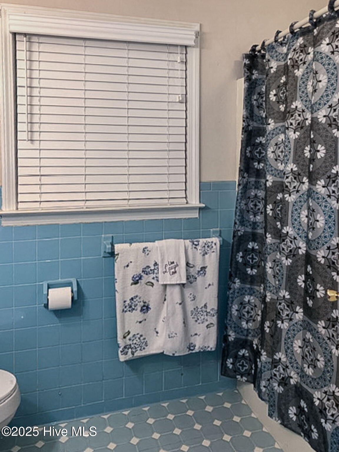 302 Jamestown Road Windsor, NC 27983 - Photo 17 of 23 Hall Bathroom with Tub/Shower