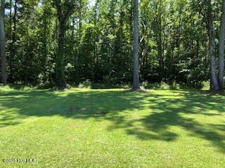 302 Jamestown Road Windsor, NC 27983 - Photo 21 of 23 Beautiful Lot is Wooded in the Back