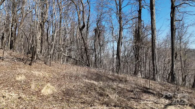 $54,500 | 1.1-acre Blockaders Den Road, Columbus, NC 28722