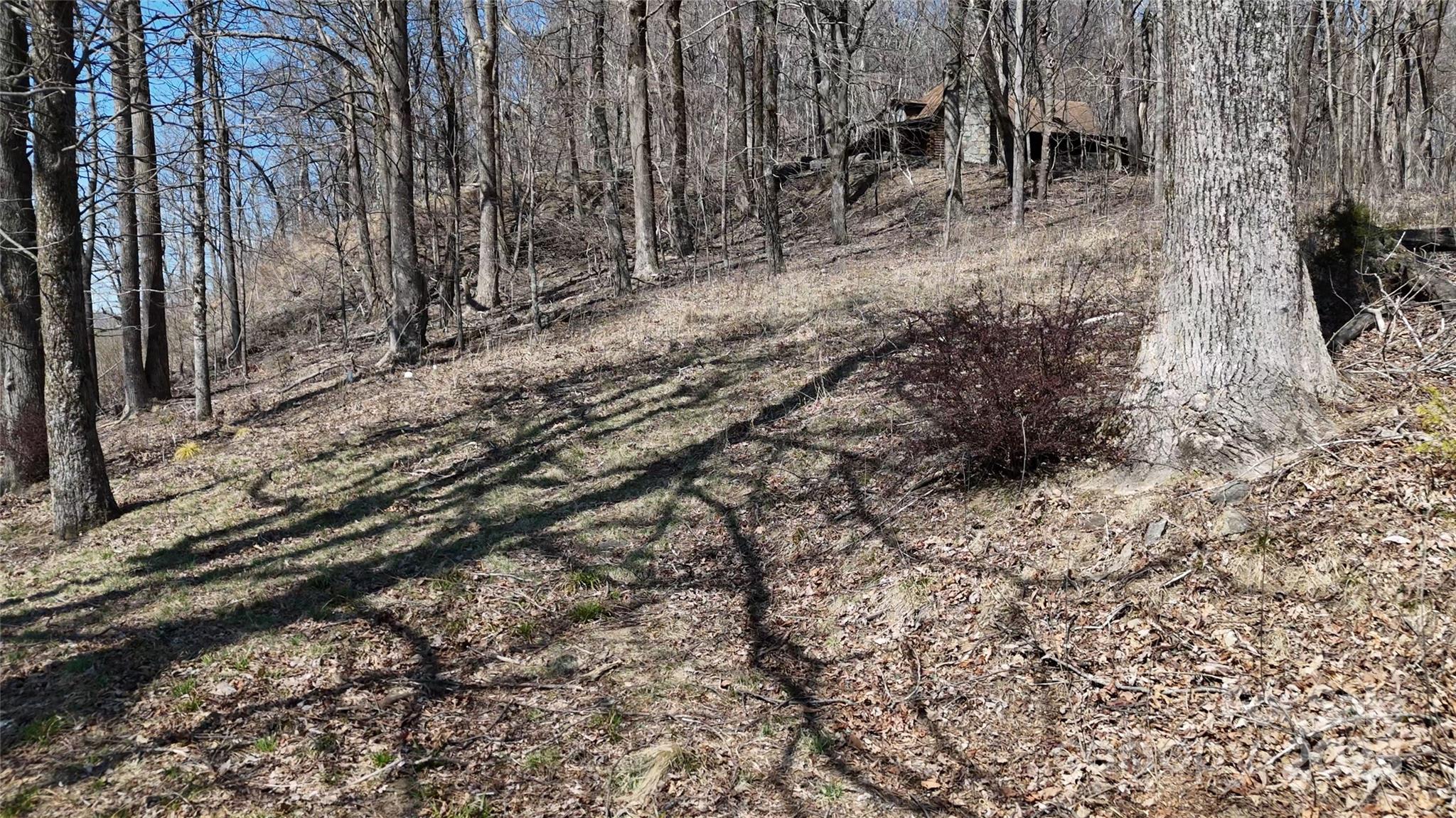 1.1-acre Blockaders Den Road Columbus, NC 28722 - Photo 14 of 41