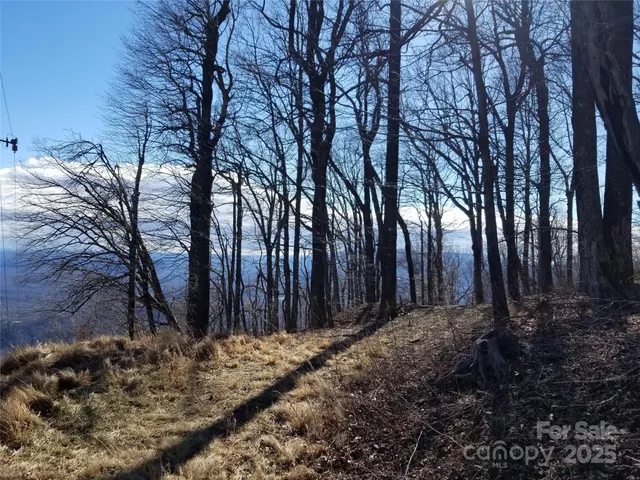 $54,500 | 1.1-acre Blockaders Den Road, Columbus, NC 28722