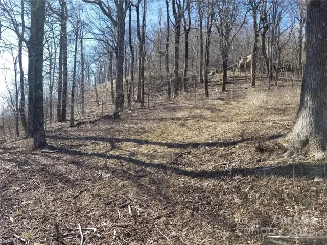 $54,500 | 1.1-acre Blockaders Den Road, Columbus, NC 28722