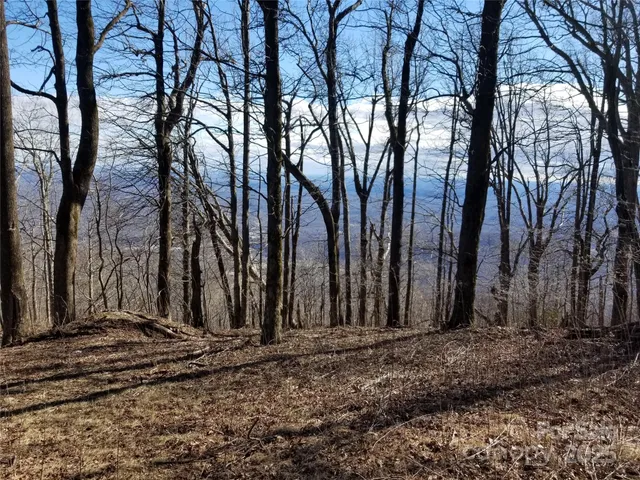 $54,500 | 1.1-acre Blockaders Den Road, Columbus, NC 28722