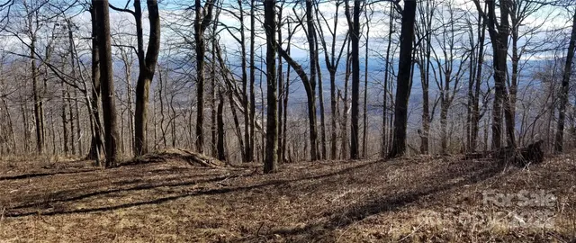 $54,500 | 1.1-acre Blockaders Den Road, Columbus, NC 28722