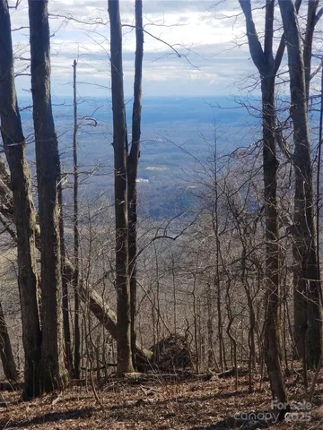 $54,500 | 1.1-acre Blockaders Den Road, Columbus, NC 28722