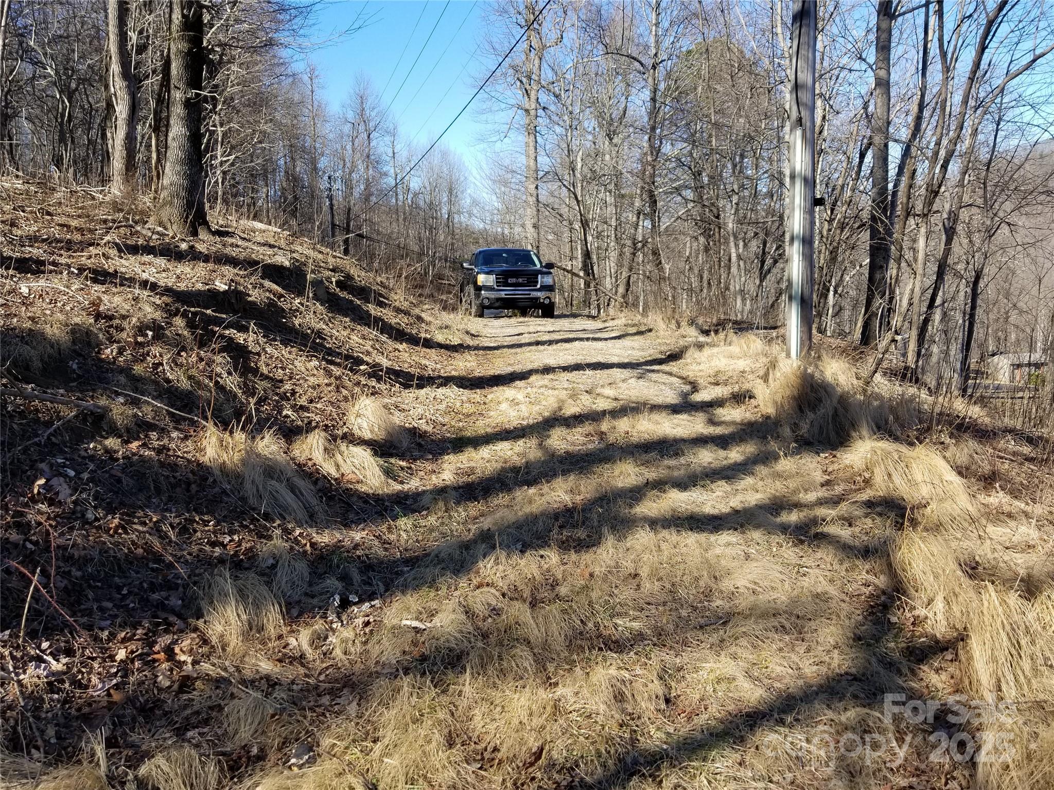 1.1-acre Blockaders Den Road Columbus, NC 28722 - Photo 31 of 41