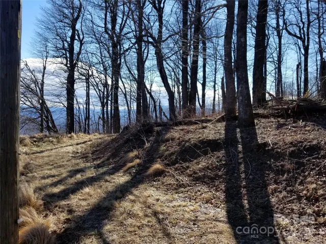 $54,500 | 1.1-acre Blockaders Den Road, Columbus, NC 28722