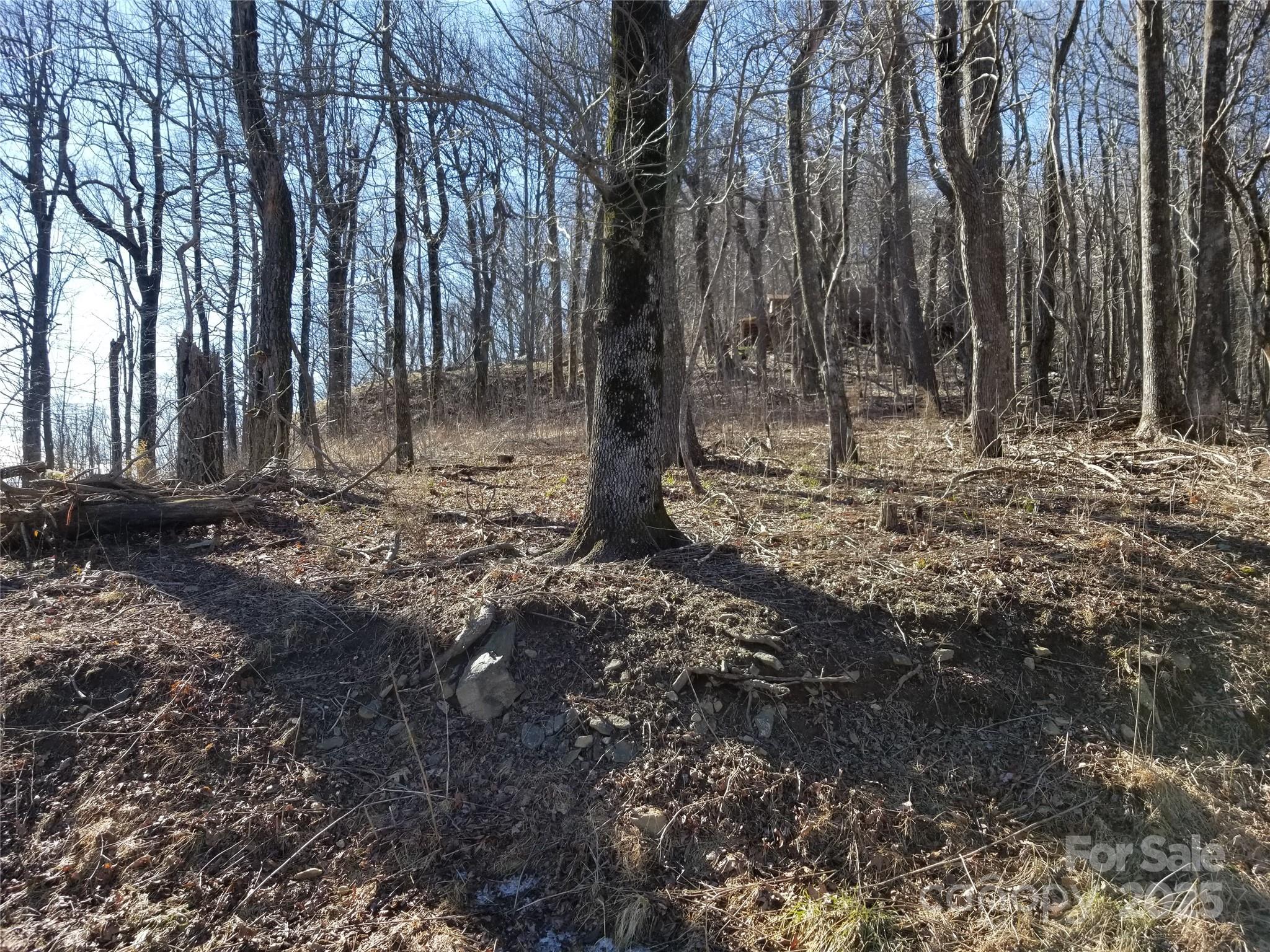 1.1-acre Blockaders Den Road Columbus, NC 28722 - Photo 33 of 41