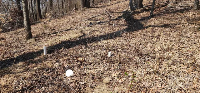 $54,500 | 1.1-acre Blockaders Den Road, Columbus, NC 28722