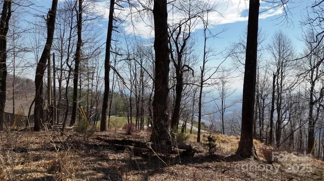 $54,500 | 1.1-acre Blockaders Den Road, Columbus, NC 28722