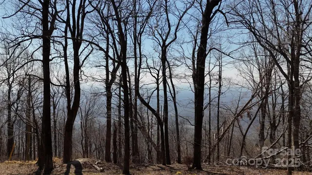 $54,500 | 1.1-acre Blockaders Den Road, Columbus, NC 28722