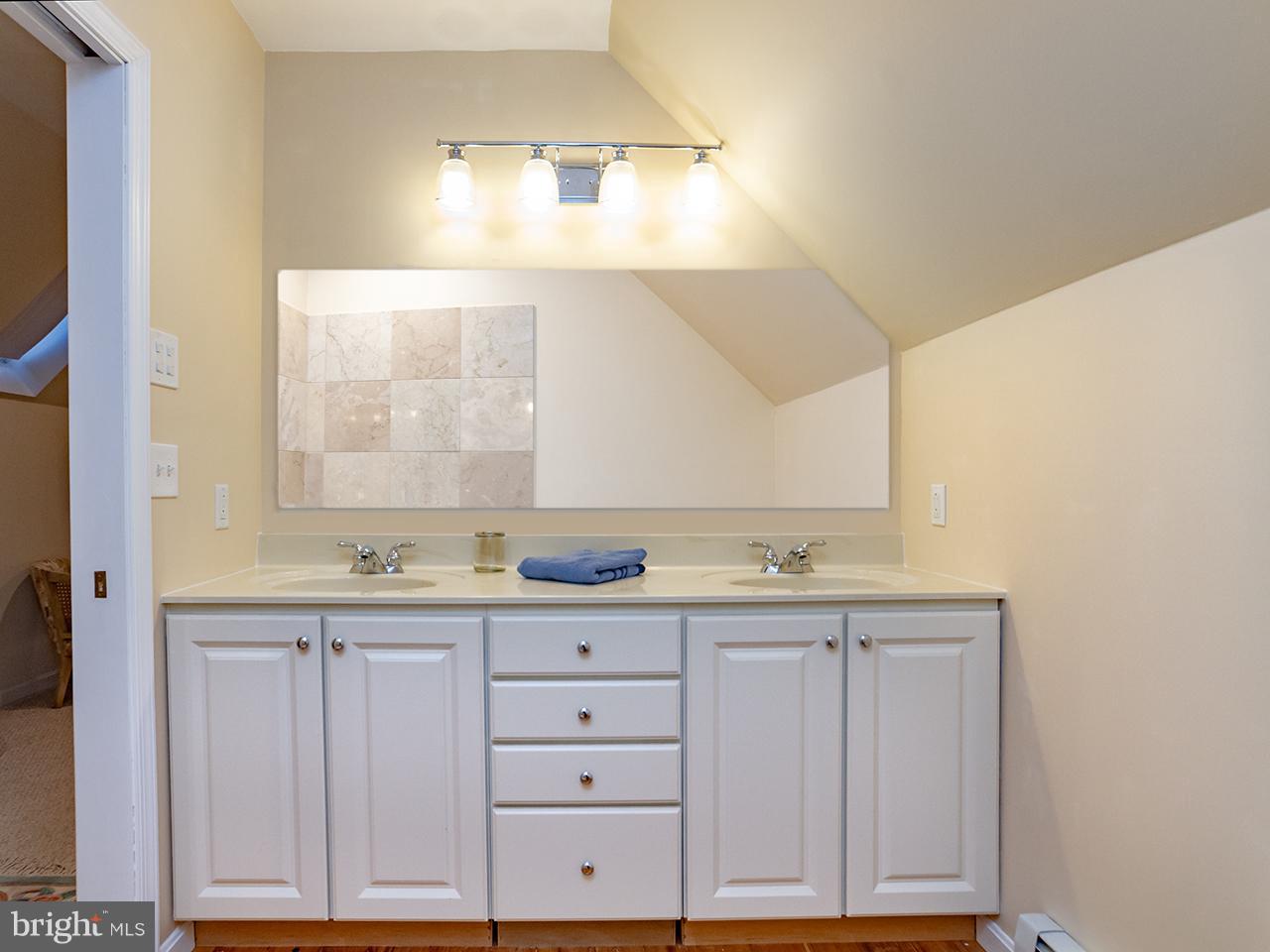 5236 Buttermilk Road Pylesville, MD 21132 - Photo 22 of 30 Double Vanity.