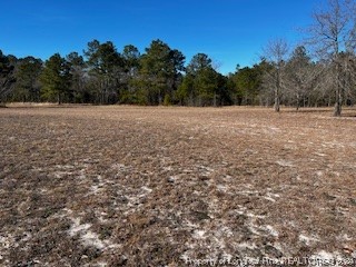 4437 Dudley Road Fayetteville, NC 28312 - Photo 41 of 41 a view of a dry yard with trees