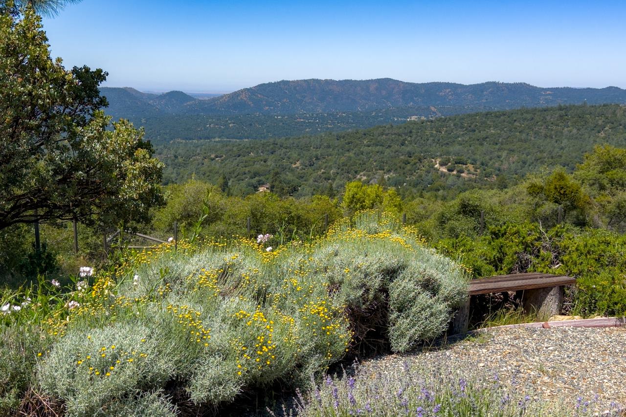 43016 Sunshine Mountain Road Oakhurst, CA 93644 - Photo 53 of 85