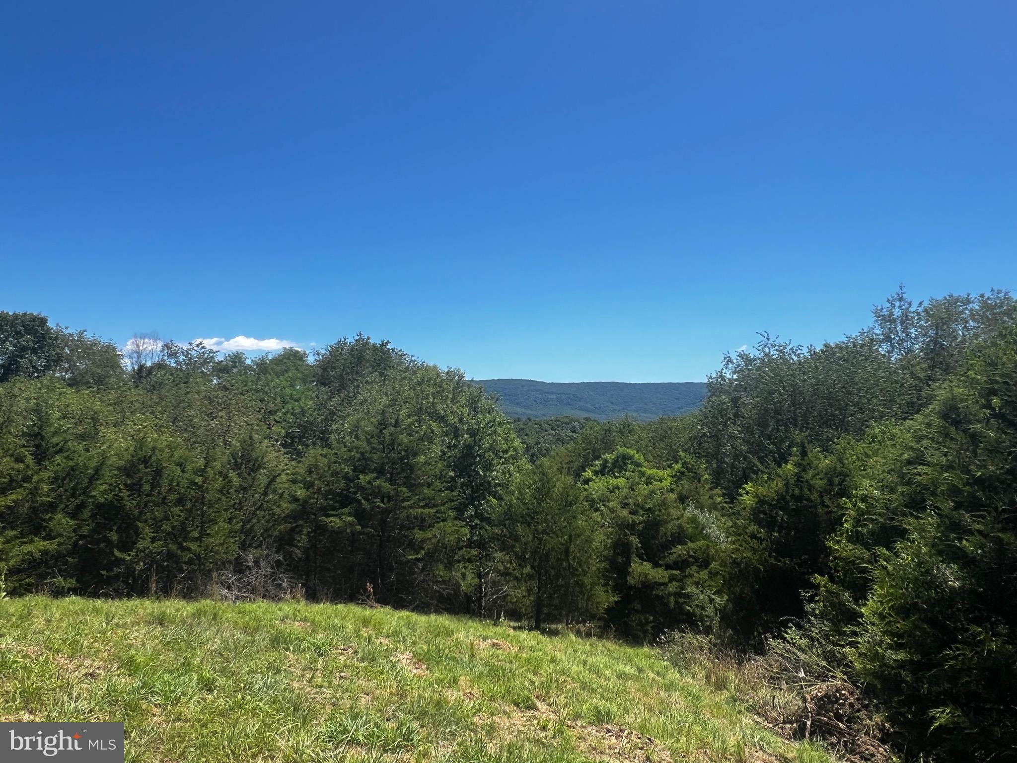 2066 Co Rte 259/3 Mathias, WV 26812 - Photo 101 of 111 Gallery Image 101