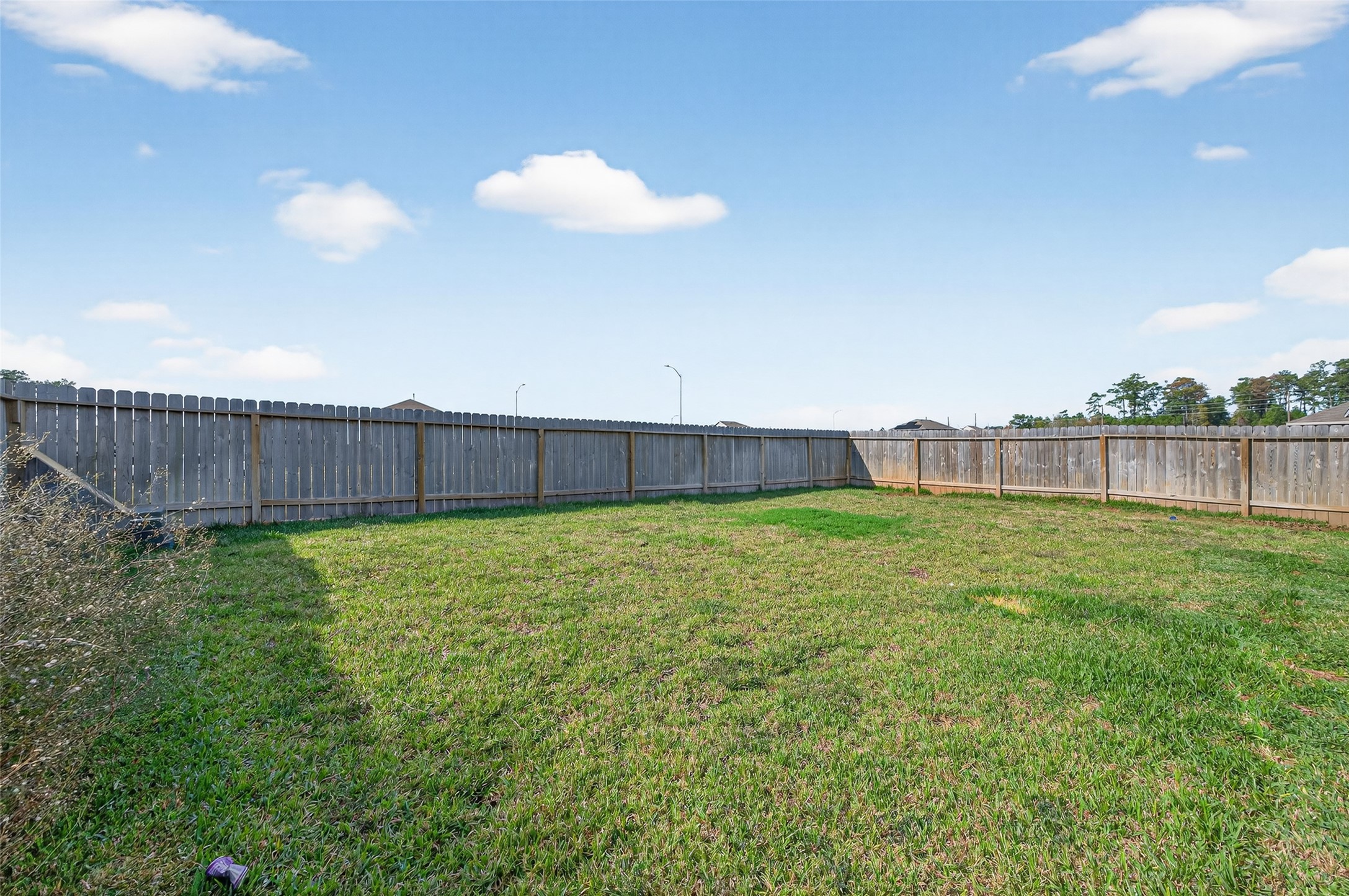 24251 Copperleaf Bay Ln Spring Spring, TX 77373 - Photo 41 of 42 a view of a backyard