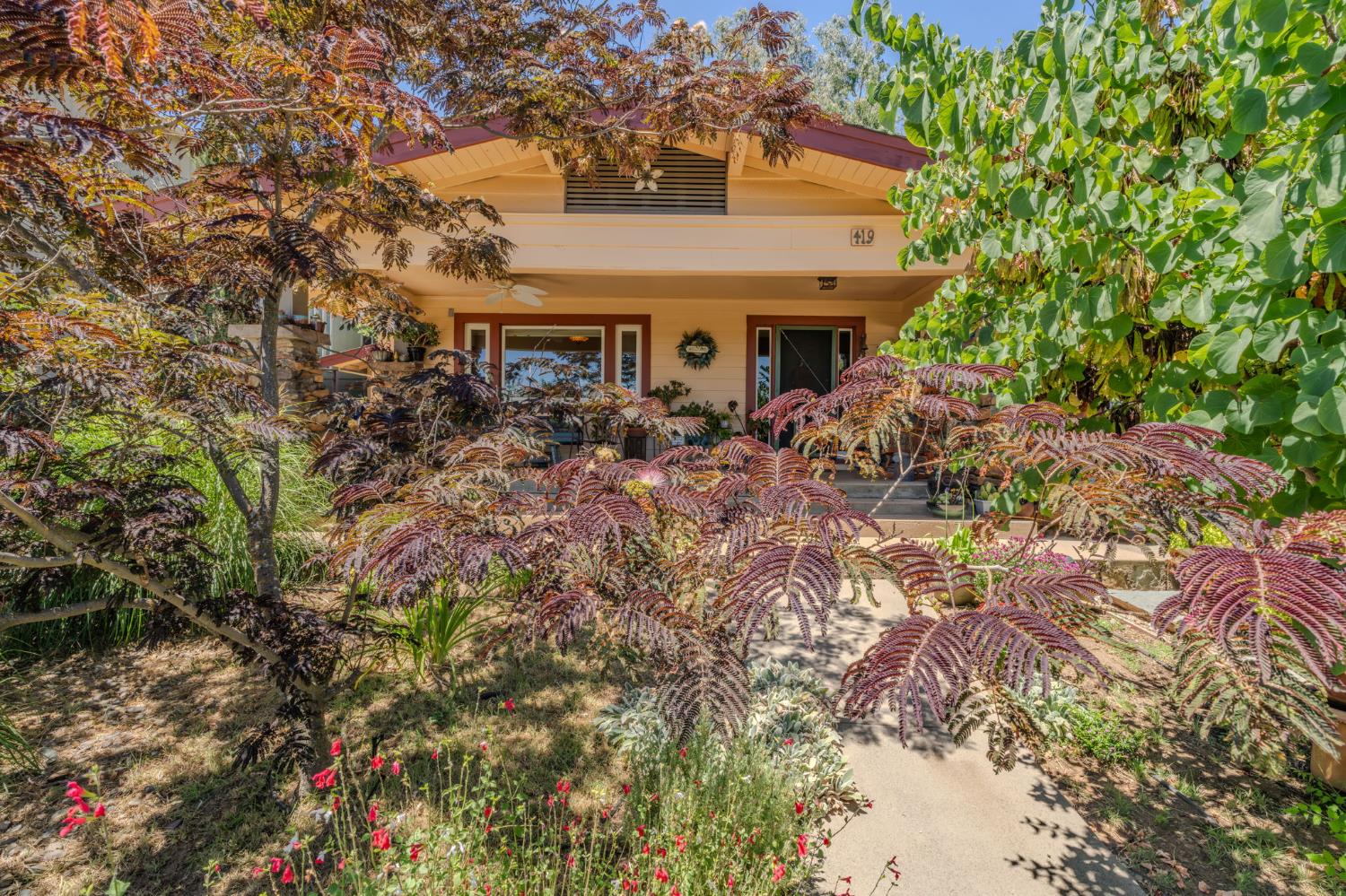 419 Rex Avenue Jackson, CA 95642 - Photo 50 of 90